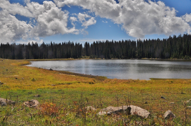 Atop the Grand Mesa